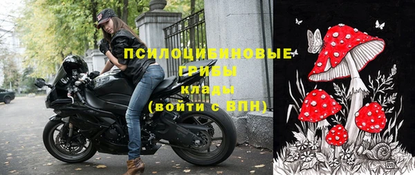 прущий лед Алексин